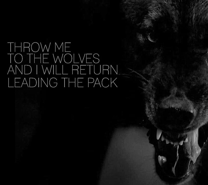 Wolves, black, lead, leader, saying, wolf, HD wallpaper