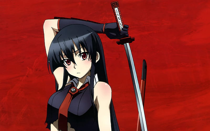 Akame Ga Kill, Akame Japanese manga, girl with sword, HD wallpaper