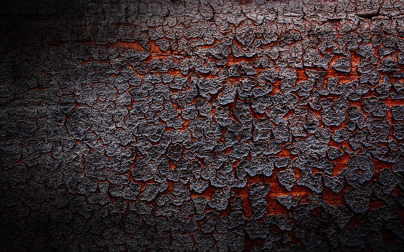 gray tree bark close-up, wooden backgrounds, tree bark, wooden bark, light tree, wooden textures, HD wallpaper