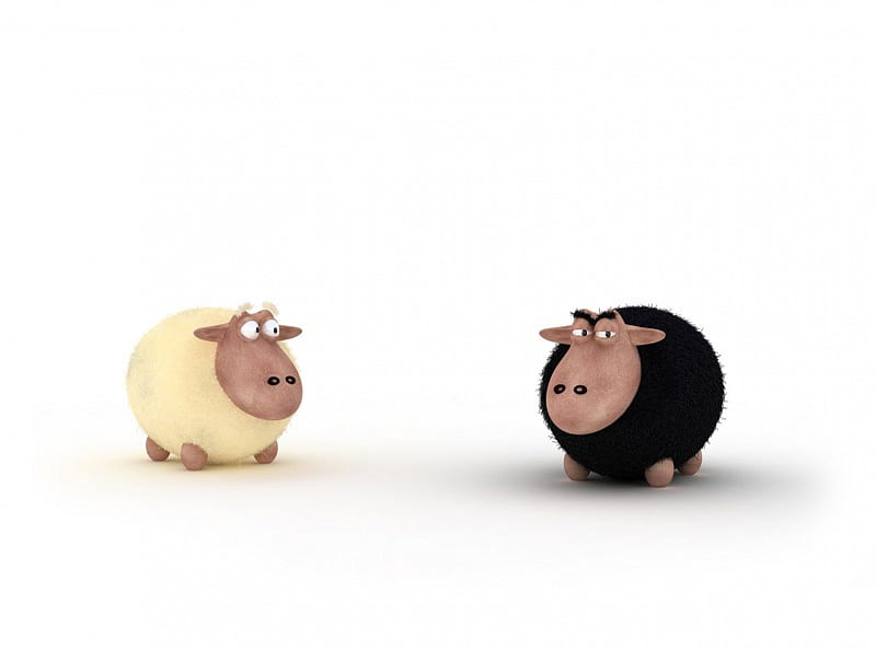The Two Sheeps Friends, sheeps, sheep, black, white, friends, HD wallpaper