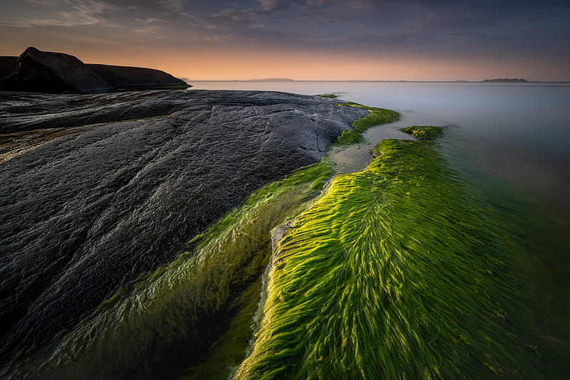 Greenish Coastline in Sunset, HD wallpaper