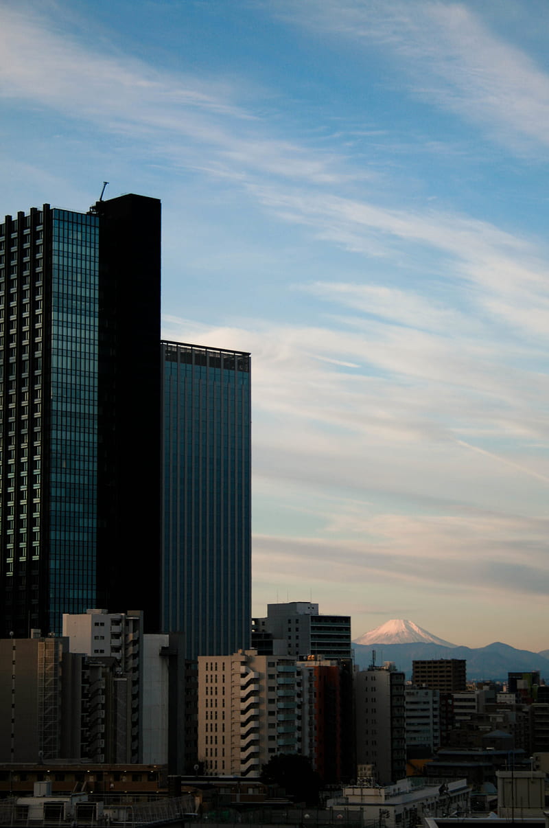 buildings, skyscrapers, city, view, tokyo, HD phone wallpaper