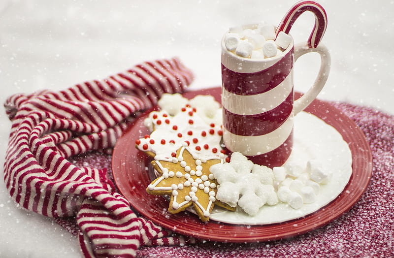 Holiday, Christmas, Candy Cane, Cookie, Gingerbread, Hot Chocolate, HD wallpaper