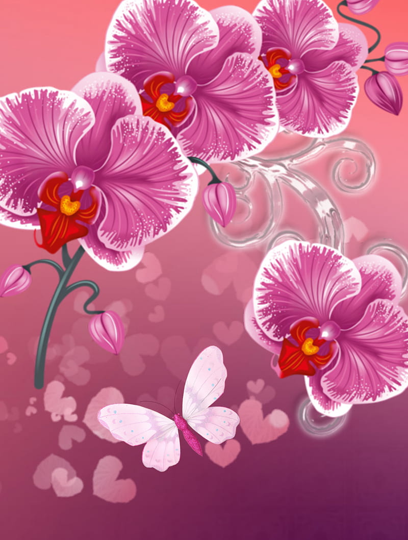 Orquidea, abstract, butterfly, flowers, pink, HD phone wallpaper