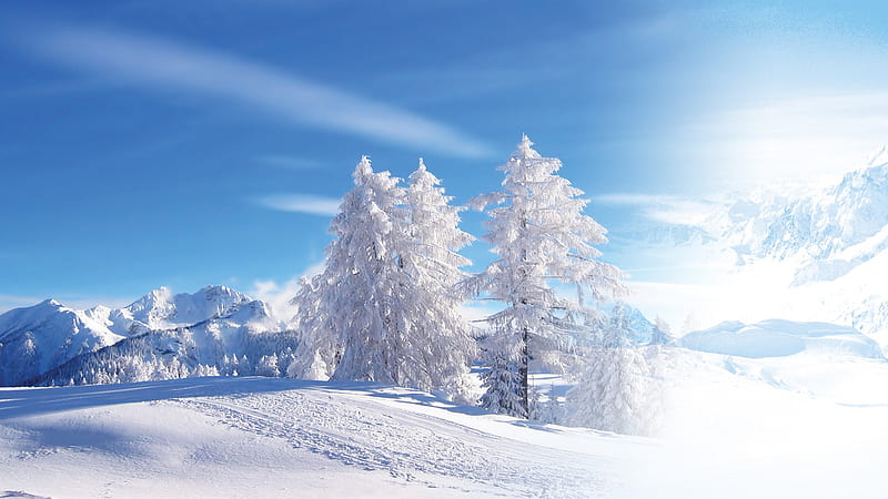 February Mountain Morning, trees, sky, winter wonderland, winter, cold, snow, mountains, sunshine, morning, blue, HD wallpaper