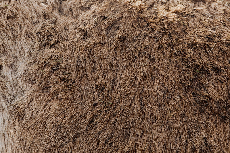 Brown Thick Pile Area Rug, HD wallpaper