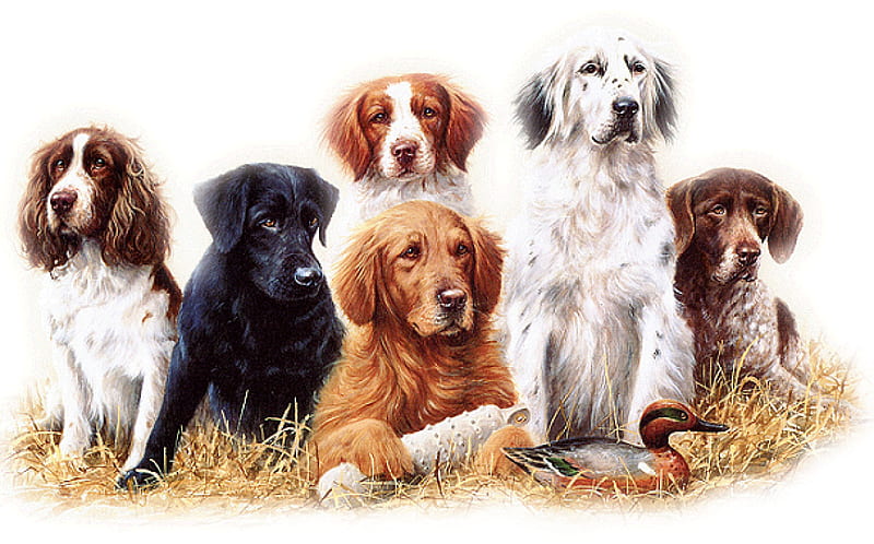 hunting dogs, computer, art, hunting, dogs, HD wallpaper