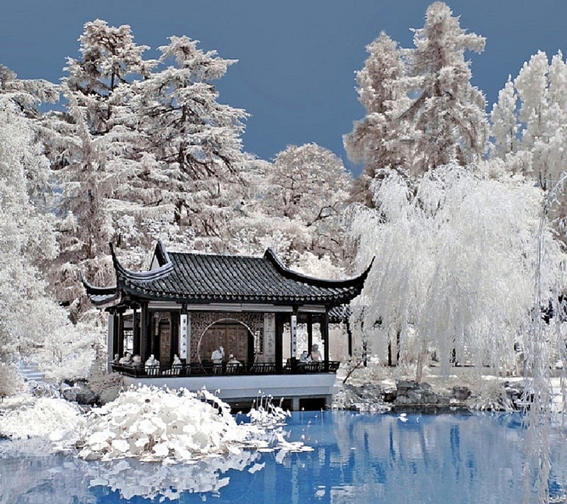 Chinese garden with pagoda, water, pagoda, nature, chinese garden, winter, HD wallpaper