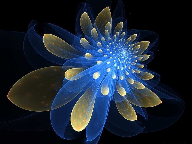 Creative flower, art, flower, creative, blue, fracture, HD wallpaper