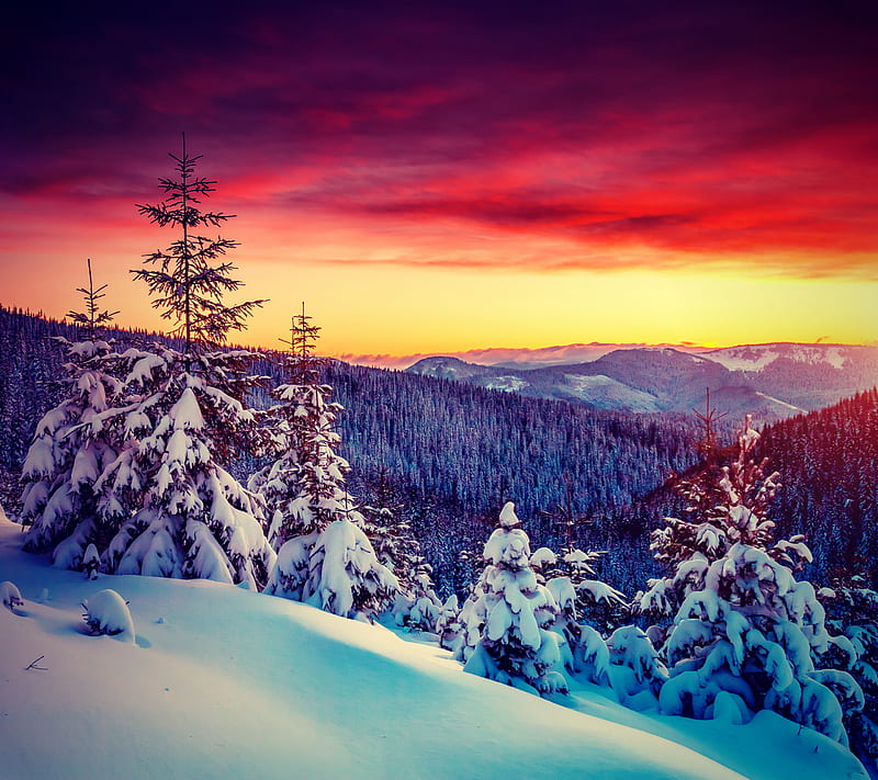 Winter, landscape, HD wallpaper
