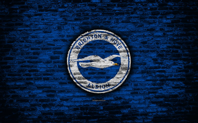 Brighton FC, logo, blue brick wall, Premier League, English football club, soccer, football, The Seagulls, brick texture, Falmer, England, HD wallpaper