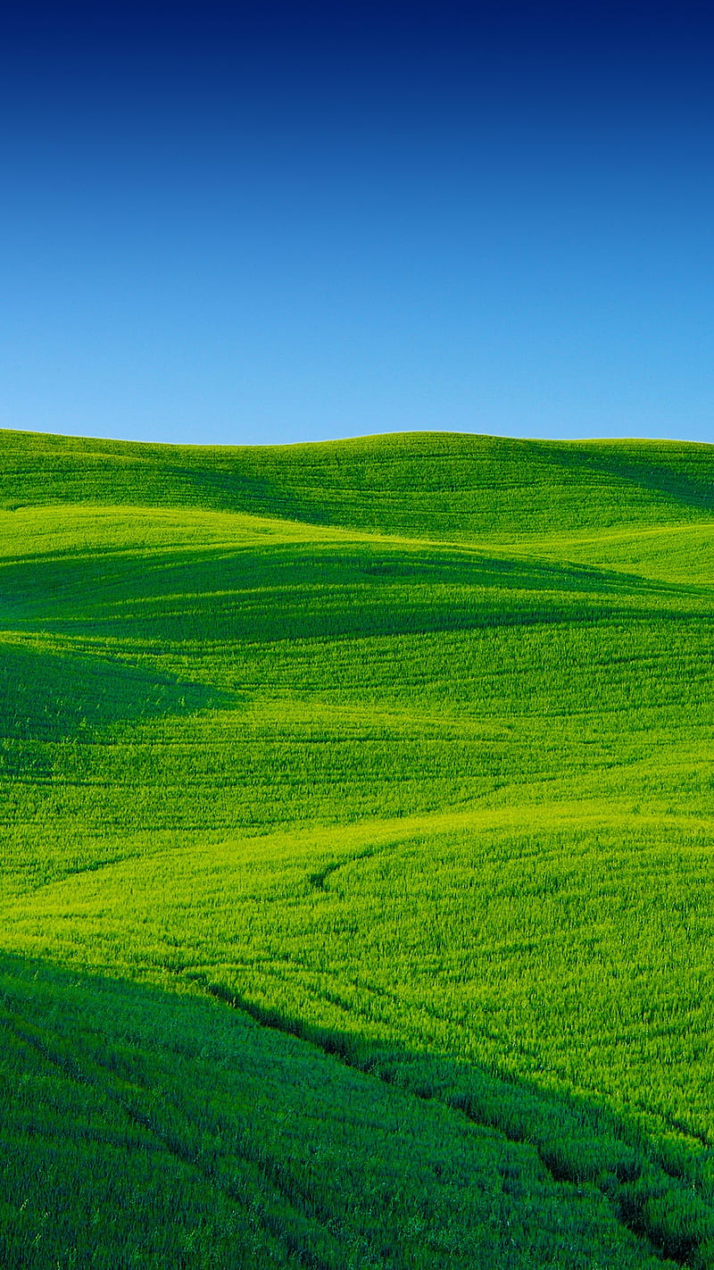 Green Field, grass, landscape, nature, graphy, scenery, sky, HD phone  wallpaper | Peakpx