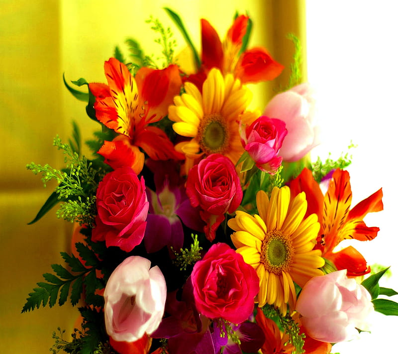 Colorful Flowers, look, nice, HD wallpaper | Peakpx