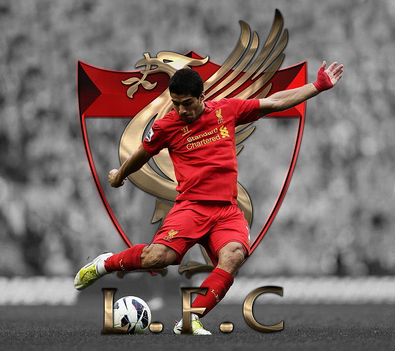 Luis Suarez 2, anfield, liverpool, red, sreefu, warrior, ynwa, HD wallpaper