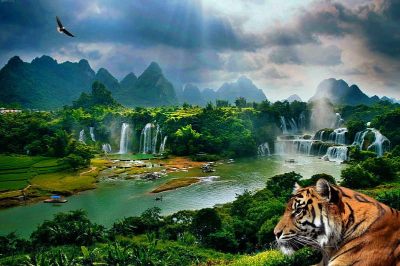 Siberian, scenic, mountains, nature, river, tiger, waterfalls, HD wallpaper