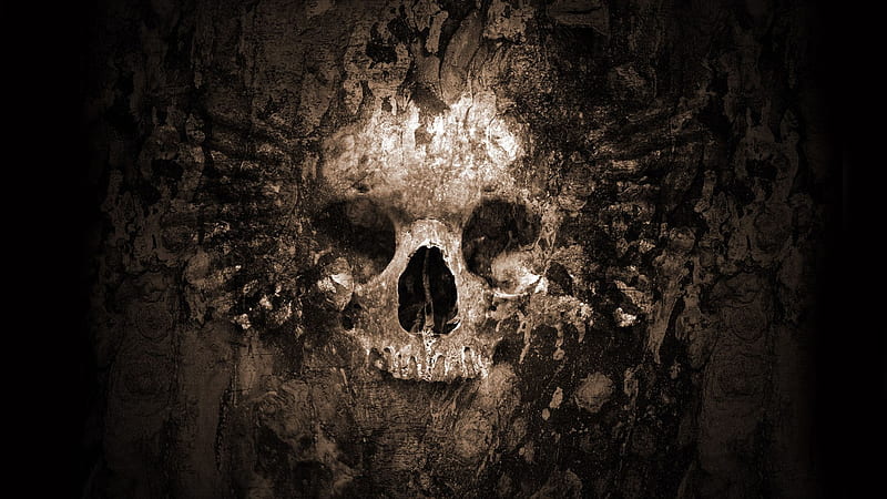 Legend of the Goth Skulls, brown, black, goth, skulls, fantasy, gothic, dark, white, skull, HD wallpaper