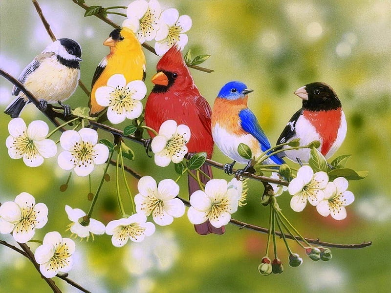Songbirds on Flowering Branch, love four seasons, birds, spring, paintings, love, summer, flowers, nature, beloved valentines, branches, animals, HD wallpaper
