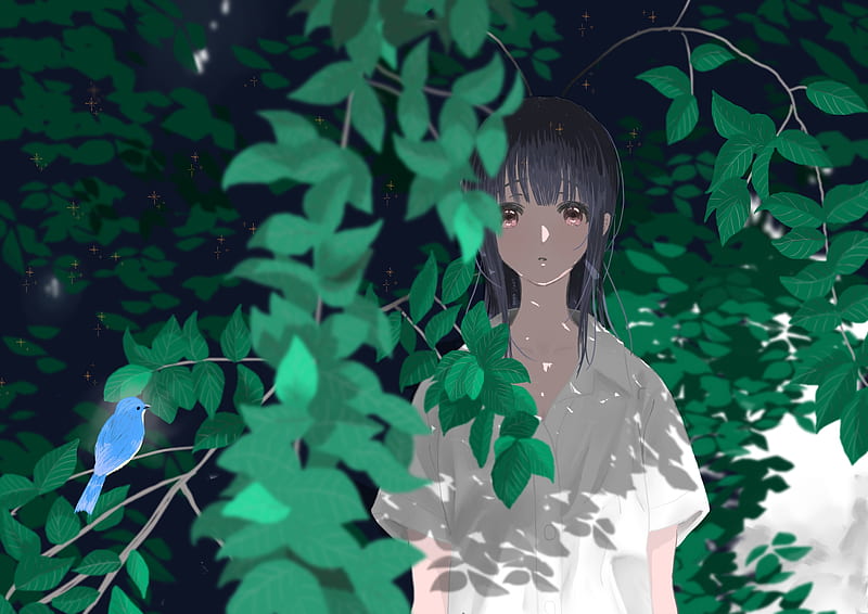 liz to aoi tori, hibike euphonium, yoroizuka mizore, leaves, white shirt, Anime, HD wallpaper