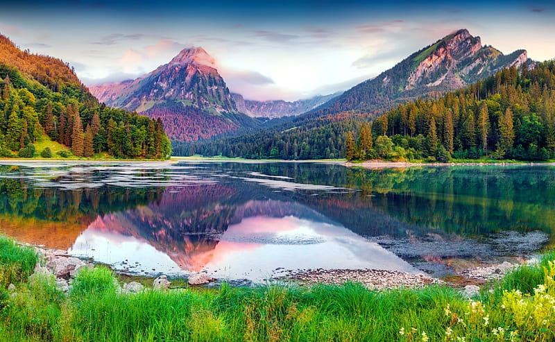 Colorful summer sunrise, Alps, colorful, grass, Switzerland, bonito ...