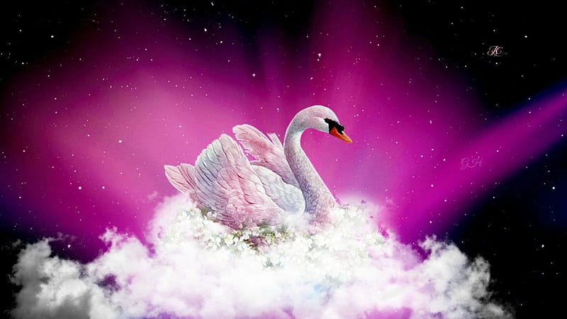 Swan Fantasy, FANTASY, BEAUTY, ART, SWAN, ABSTRACT, HD wallpaper | Peakpx
