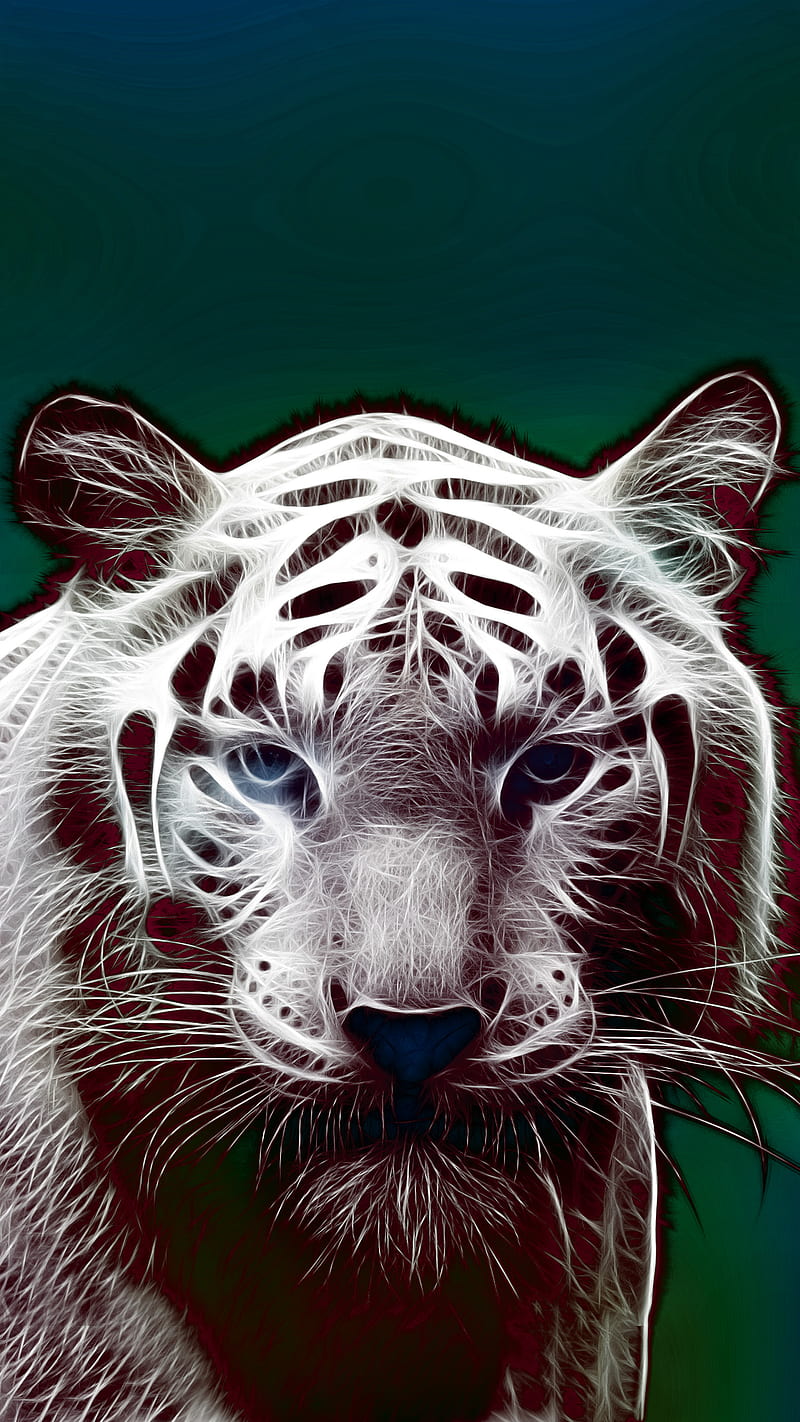white tiger design, blanc, tiger, HD phone wallpaper