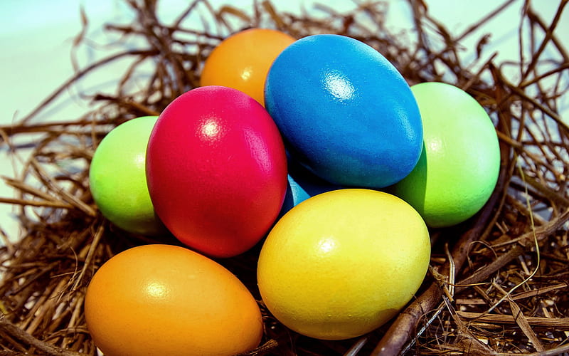 Multicolored easter eggs, spring, colored eggs, Easter, nest, spring holidays, HD wallpaper