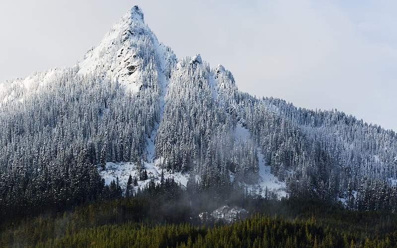 winter, mountain, rocks, winter landscape, snow, forest, USA, Washington, United States, HD wallpaper