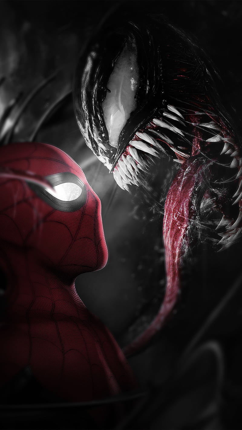 Venon vs Spider, venom, carnage, dc, HD phone wallpaper | Peakpx