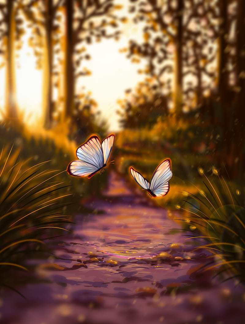 Butterflies, glare, light, art, HD phone wallpaper | Peakpx