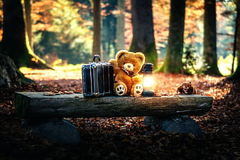 Alone teddy sale bear wallpaper