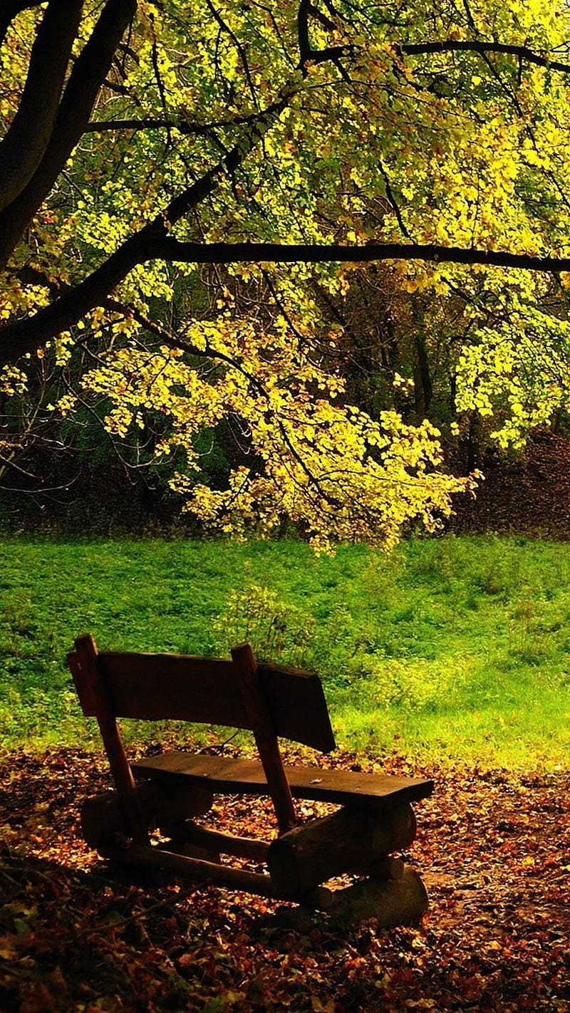 70+ Free Red Park Bench & Nature Images - Pixabay