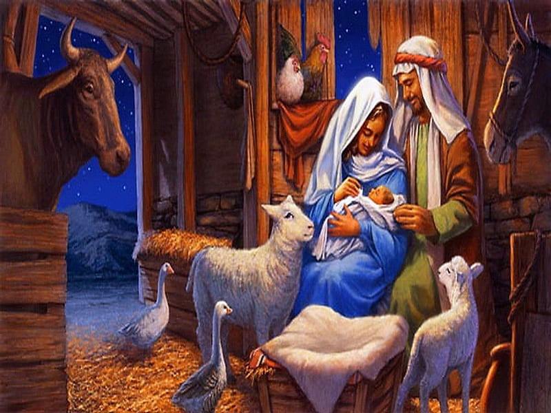 Christmas story, nativity, stars, sheep, jesus, joseph, christmas, mary,  sky, HD wallpaper | Peakpx