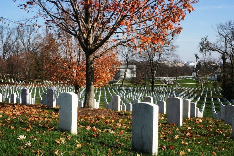 Arlington Natonal Cemetery, Memorials, Holidays, Nature, Cemeteries, HD wallpaper