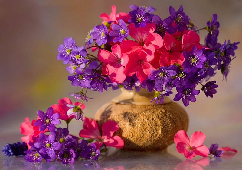 Still life, pretty, bouquet, flowers, vase, scent, fragrance, delicate, HD wallpaper