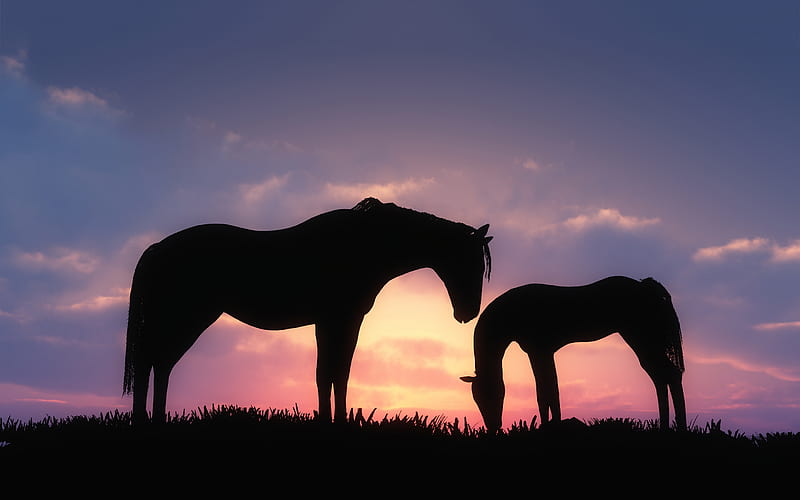 HD wallpaper Sunset Horse two horses nature animal 3d and abstract   Wallpaper Flare