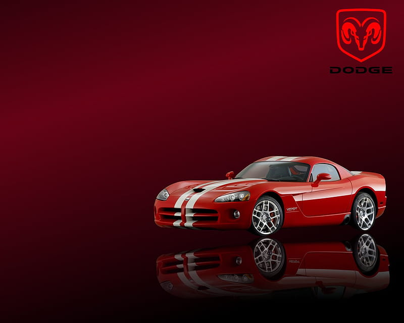 dodge viper SRT 10 red, srt 10, dodge, viper, muscle car, HD wallpaper
