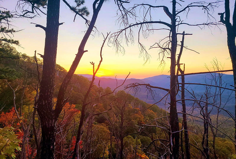 Sunset seen from Bullhead trail, Great Smoky Mountains National Park, colors, tennessee, trees, usa, fall, HD wallpaper