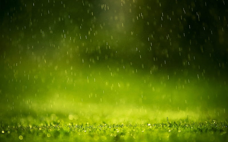 Green Raindrops-Amazing nature, HD wallpaper