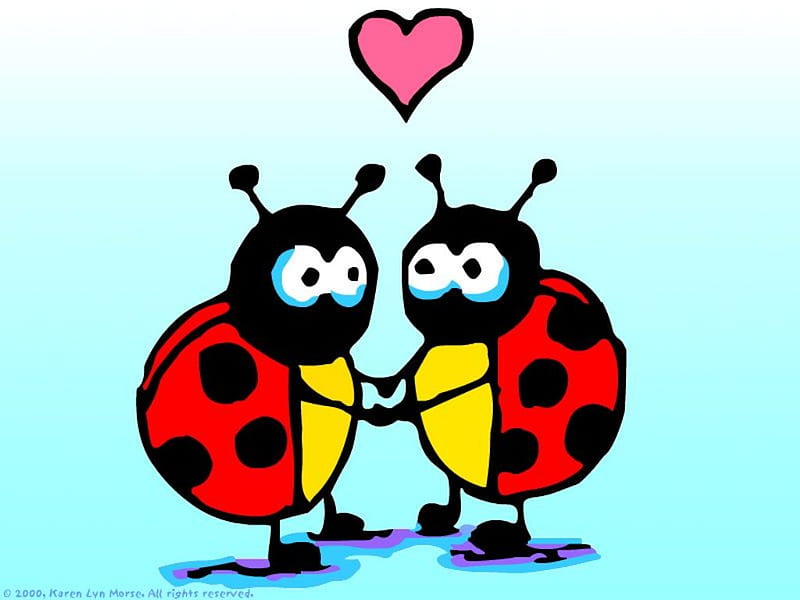 Ladybug love, ladybug, love, HD wallpaper | Peakpx