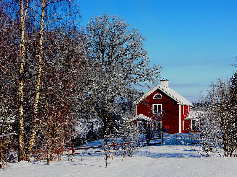 Cosy cottage, red cottage, house, snow, white, trees, sky, blue, winter, HD wallpaper