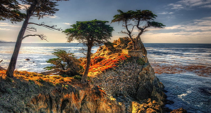 The Lone Cypress, rocks, Monterey peninsula, red, beach, 17-Mile Drive, California, green, landscapes, sunrise, blue, ocean, oceanscape, dawning, trees, Pebble beach, white, coast, HD wallpaper
