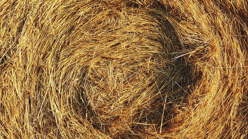 closeup of hay bale, HD wallpaper