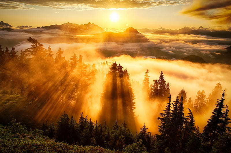 Sunset over Valley, sunrays, mountains, clouds, firs, mist, HD wallpaper