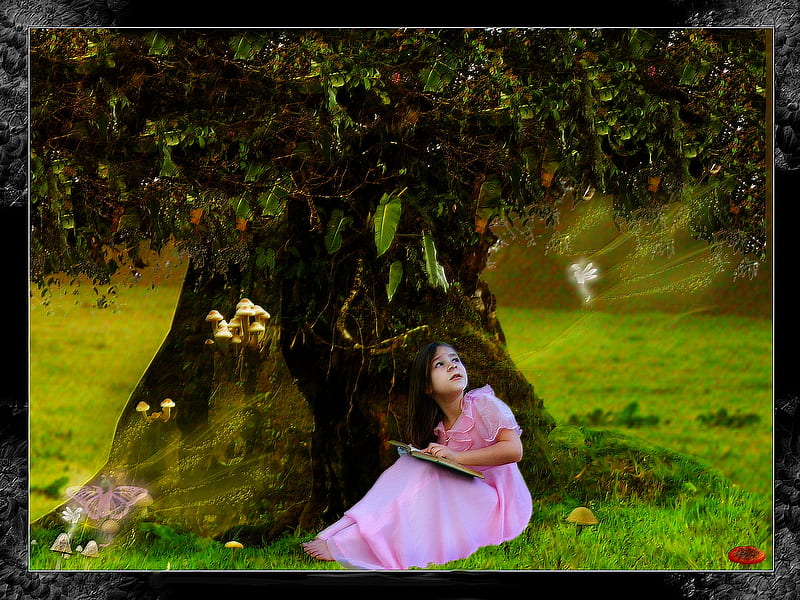 FAIRY RING, grass, book, mushroom, butterflies, magic, tree, leaves, reading, little girl, pink, fairy, HD wallpaper