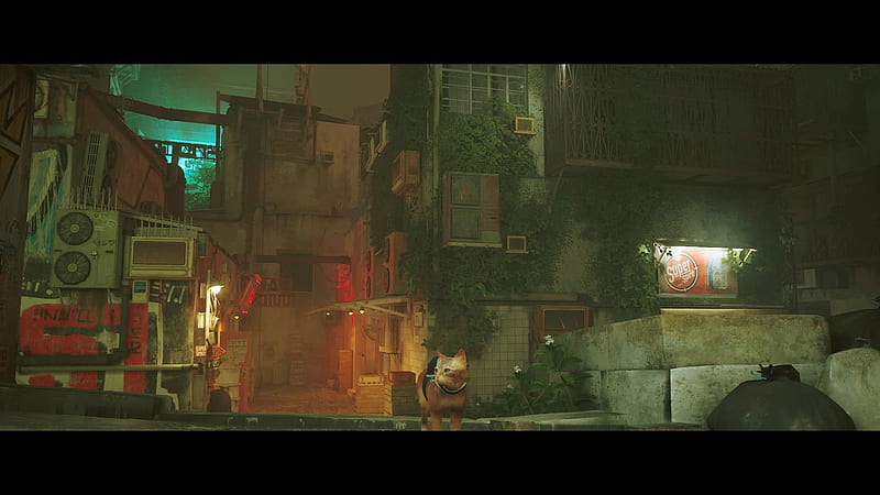 Stray in review: the most wanted Steam game is a true cyberpunk feast - Global Esport News, HD wallpaper