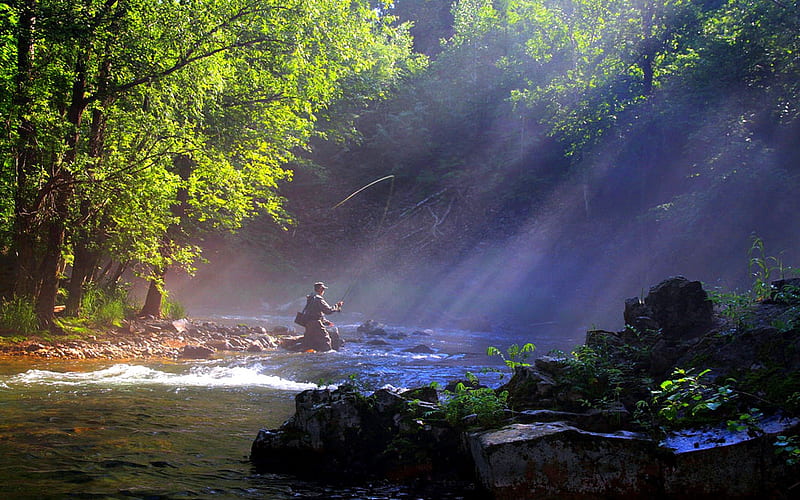 Fly Fishing in a River, Sunbeam, Landscape, Trees, River, Fisherman, HD wallpaper