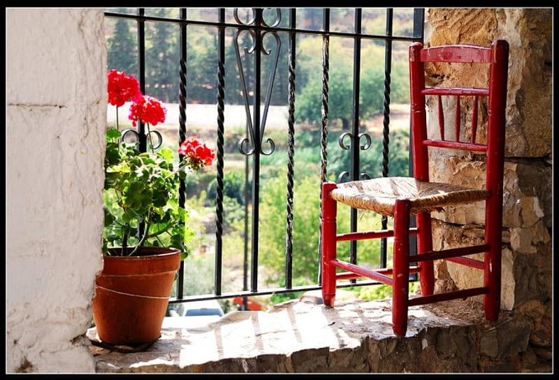 color on the windowsill, red, window, geranium, pot, on, sill, the, flowers, chair, HD wallpaper