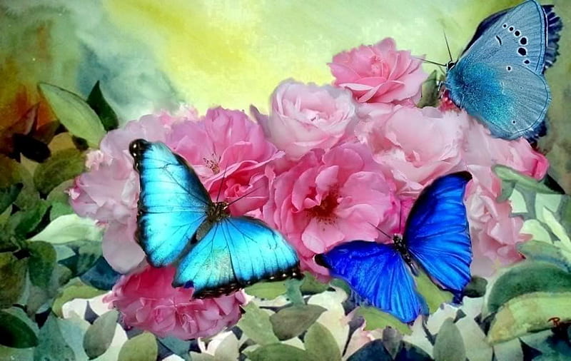 BUTTERFLIES AND SANDROSES, sand, butterflies, roses, blue, HD wallpaper