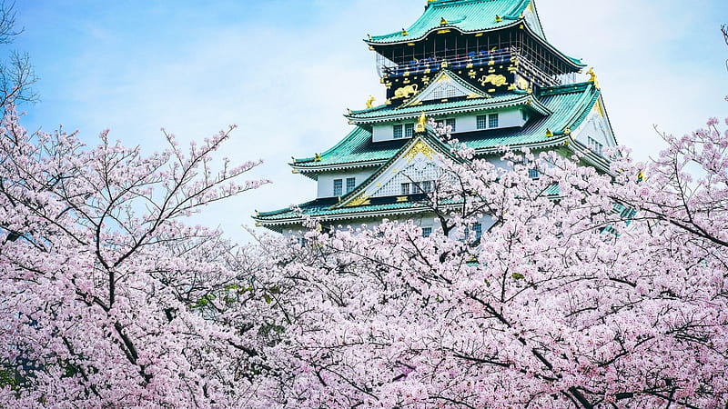 Osaka Castle, sakura, japanese, spring, cherry blossom, japan, osaka, flowers, nature, scenery, castle, pink, HD wallpaper