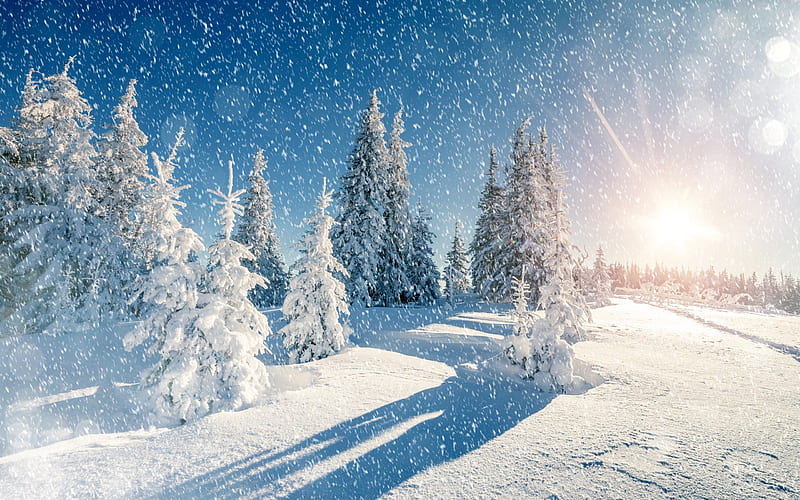 tree, snow, blue sky, winter, mountains, frost, HD wallpaper